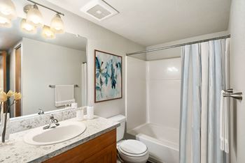 A bathroom with a sink and a toilet and a shower